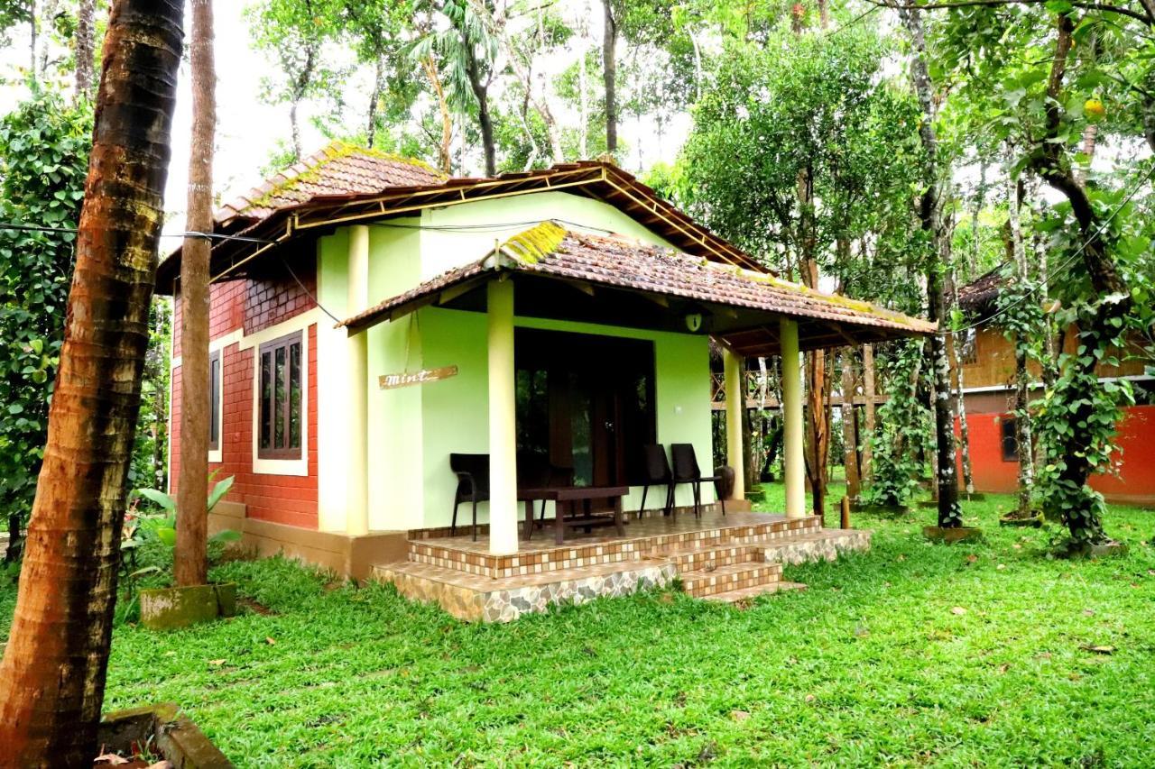 Pepper Green Wayanad Resort With Swimming Pool Kattikkulam Εξωτερικό φωτογραφία